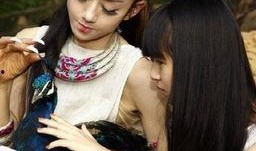 杨彩旗最新爆料,娱乐圈惊人内幕大曝光！