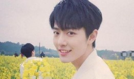 肖战最新爆料杨紫,杨紫幕后故事，独家爆料引热议